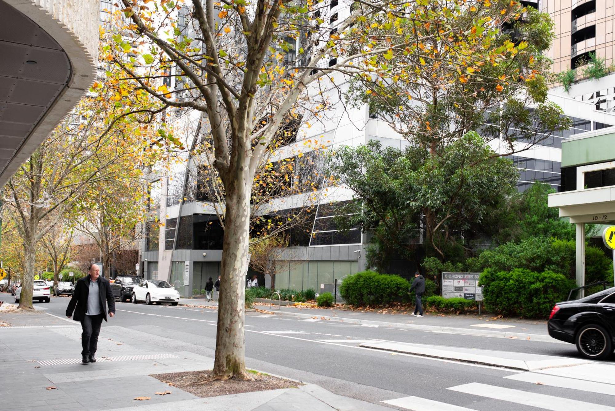 Apartment Next To Public Station, Boxhill Central, 2 Bedrooms, Free Parking And Wifi Box Hill Exterior photo