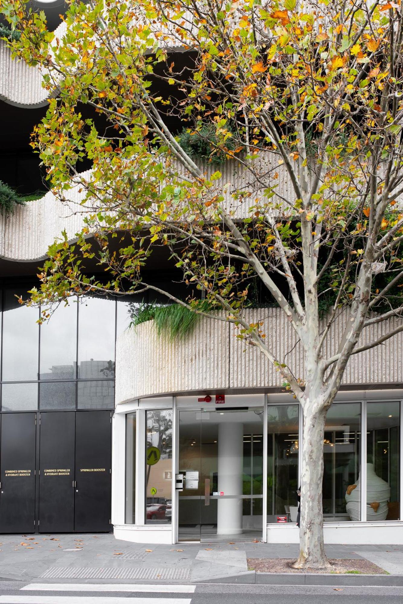 Apartment Next To Public Station, Boxhill Central, 2 Bedrooms, Free Parking And Wifi Box Hill Exterior photo